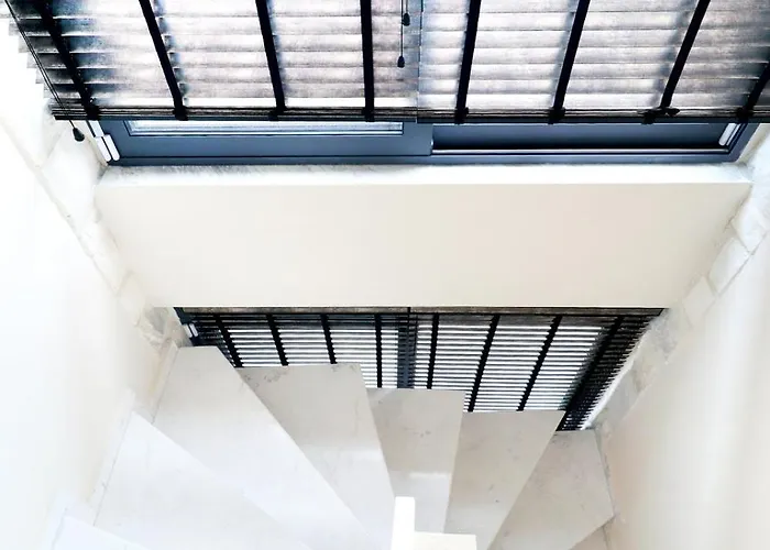 فيلة Blue Light هانيوتي