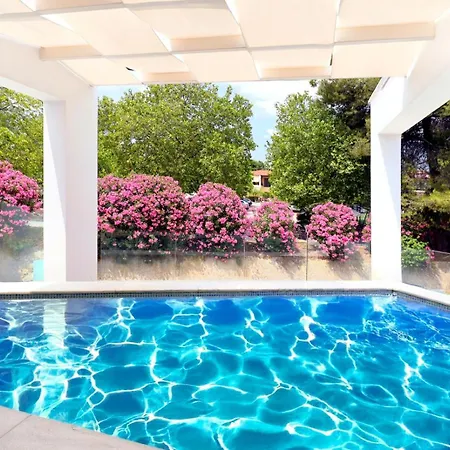 Blue Light * Hanióti